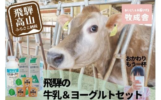 ＜牧成舎＞飛騨の牛乳屋のこだわり 牛乳＆ヨーグルト 4種セット | 飲むヨーグルト 生乳 乳製品 自社牧場 低温殺菌 生クリーム 飛騨 詰め合わせ まとめ買い セット  飲料 お取り寄せ 飛騨高山 牧