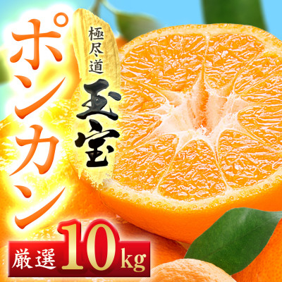 
            ＜愛媛名産＞玉宝ポンカン　10kg＜F64-66＞【1621808】
          