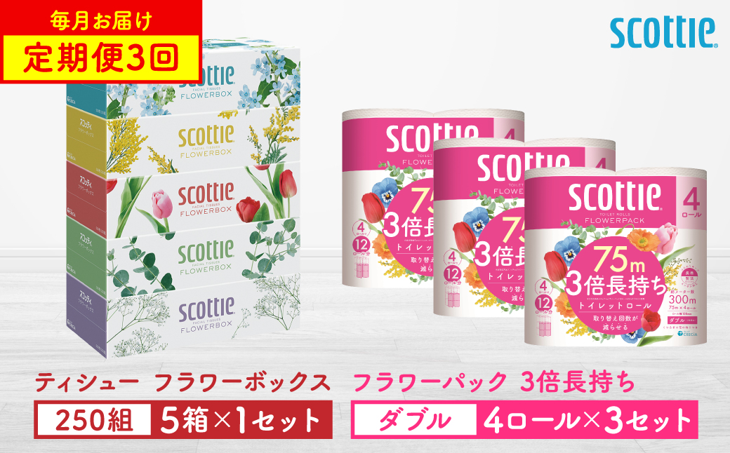 【定期便3回】【毎月お届け】【スコッティ】 組み合わせ ティシュー フラワーボックス 250組 5箱 計15箱 トイレットロール ダブル フラワーパック 3倍長持ち 12ロール 計36ロール ティッシュ トイレットペーパー 日用品 防災備蓄 ストック 備蓄 新生活 防災 消耗品 生活用品 日用消耗品 箱ティッシュ