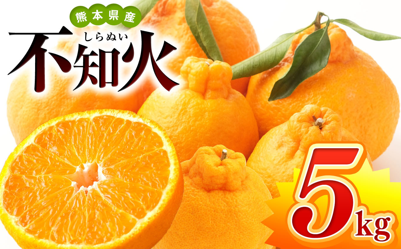 
不知火 約 5kg 池田農園 | 柑橘 みかん フルーツ 和製 果物 熊本県産 熊本県 熊本 くまもと 和水町 なごみまち なごみ ミカン 柑橘類 果物 フルーツ
