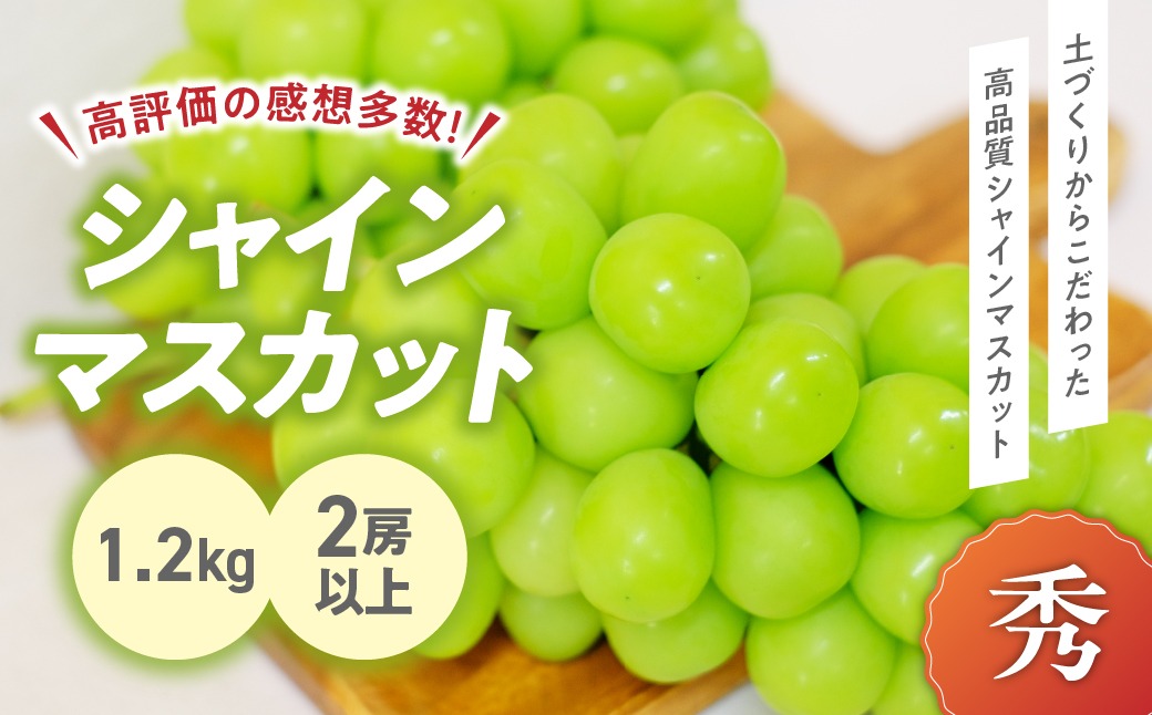 【2023年/令和5年発送分☆先行予約☆】　山梨県産朝採り新鮮シャインマスカット 1.2kg