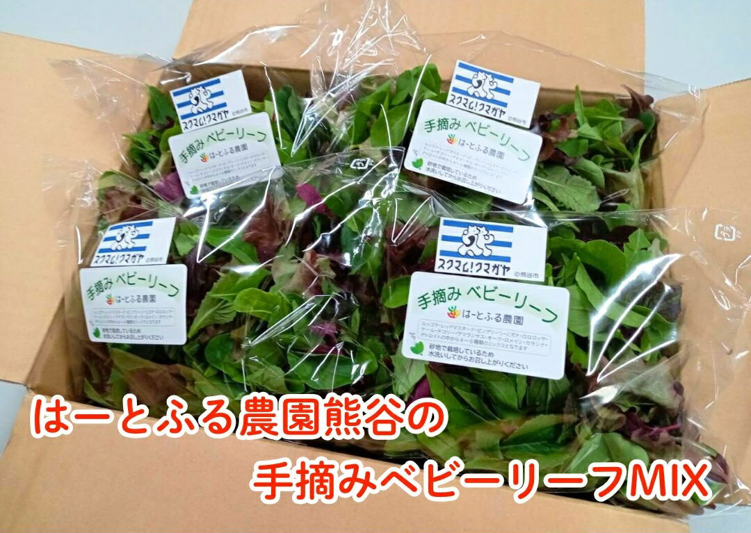 【ふるさと納税】はーとふる農園熊谷　ベビーリーフMIX（50g×5袋）