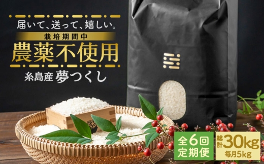 【黒箱】【全6回定期便】農薬を使わずに育てた 山つき 5kg 夢つくし 吉富町/(株)やました [BGBX015-2] 米 こめ コメ 白米 はくまい ご飯 ごはん ライス らいす ギフト 贈り物 贈答 国産 おすすめ 精米 白米 お米 ライス ごはん 米 こめ ご飯 国産