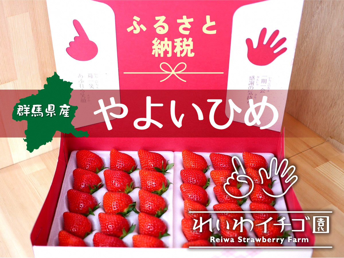 
            【2026年 先行予約】やよいひめ いちご 800g｜ 朝採れ やよいひめ たっぷり 贈答用 新鮮 特大 完熟 いちご 旬 苺 ストロベリー 高級 産地直送 果汁 甘い あまい 人気 高評価 減農薬 有機肥料 生産 生産量 産地 王国 高糖度 エコファーマー ごほうび プレゼント 群馬県 前橋市 
          