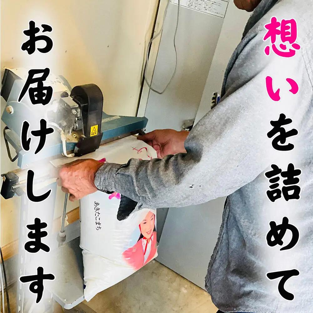 白米 青森県産あきたこまち 精米 10kg 令和7年産