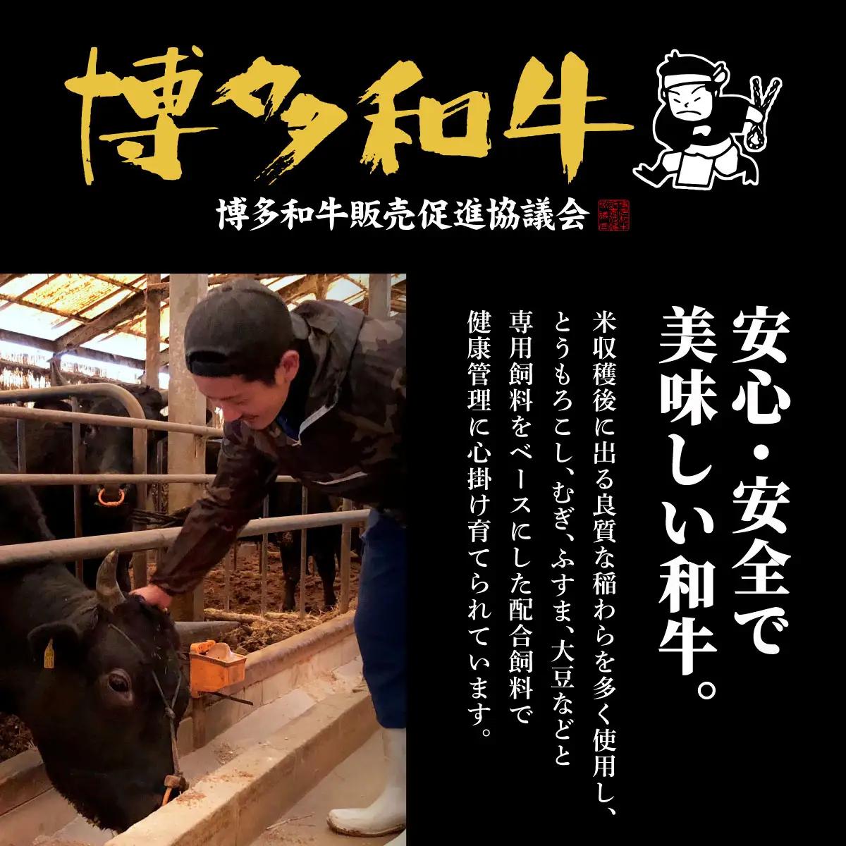 和牛 もつ鍋セット 醤油味 (ちゃんぽん麺つき) 9人前【HD012】