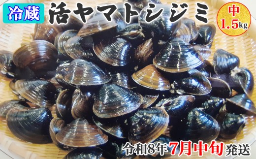 [令和8年7月中旬発送] 青森県十三湖産【冷蔵】活ヤマトシジミ 中 1.5kg｜十三湖産 青森 津軽 つがる しじみ みそ汁 味噌汁 しじみ汁 [0561]