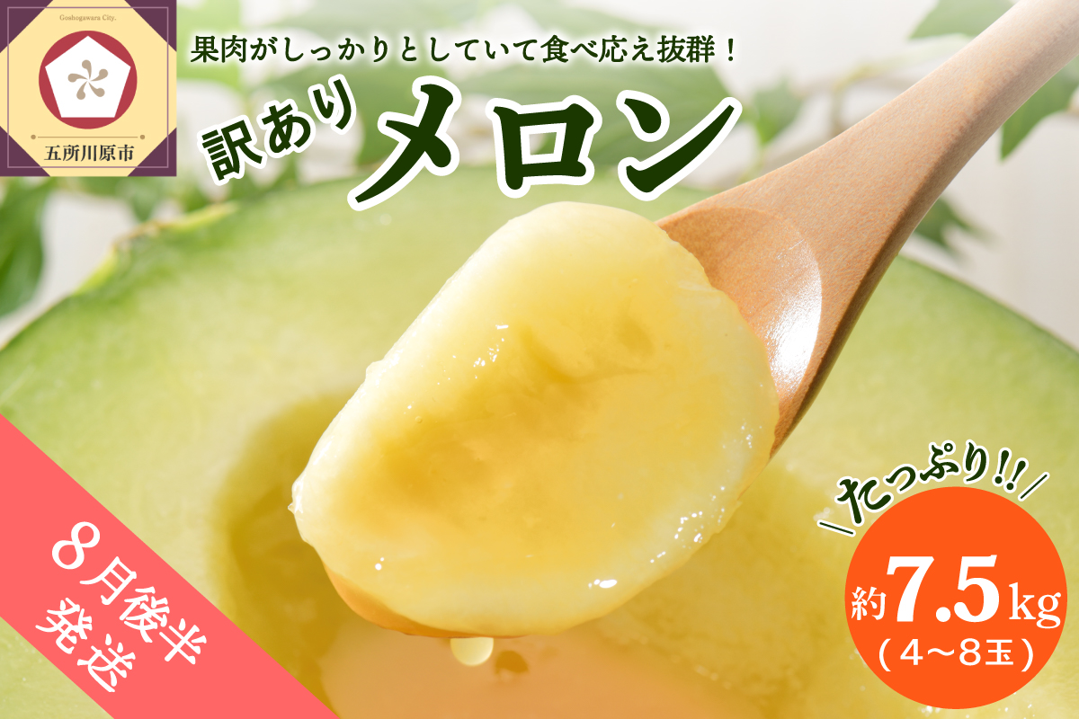 【2026年8月後半発送】【訳あり】 メロン 約7.5kg 青肉 4～8玉 青森県産