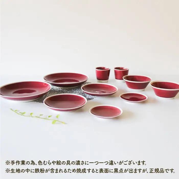 【波佐見焼】シャイニーカラー ワイン色（トルマリン）10点セット 皿 ボウル カップ 【陶芸ゆたか】 [VA56]  波佐見焼