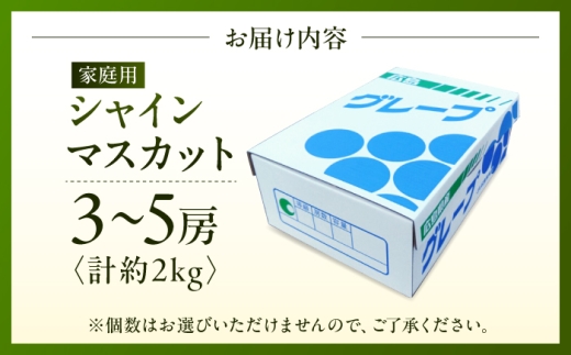 【先行予約】 家庭用 シャインマスカット 2kg (3から5房) ＜9月中旬頃から順次発送＞ ぶどう ブドウ 葡萄 マスカット フルーツ 三次市 / 芝床農園 [APCK007]