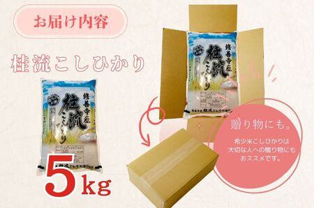 （ 数量限定 100 セット） 新米　 静岡 伊豆 修善寺産 桂流 こしひかり 5㎏ 【 コシヒカリ 白米 お米 精米 国産 米 ごはん 特別栽培米 お取り寄せ 静岡県 伊豆市】010-018