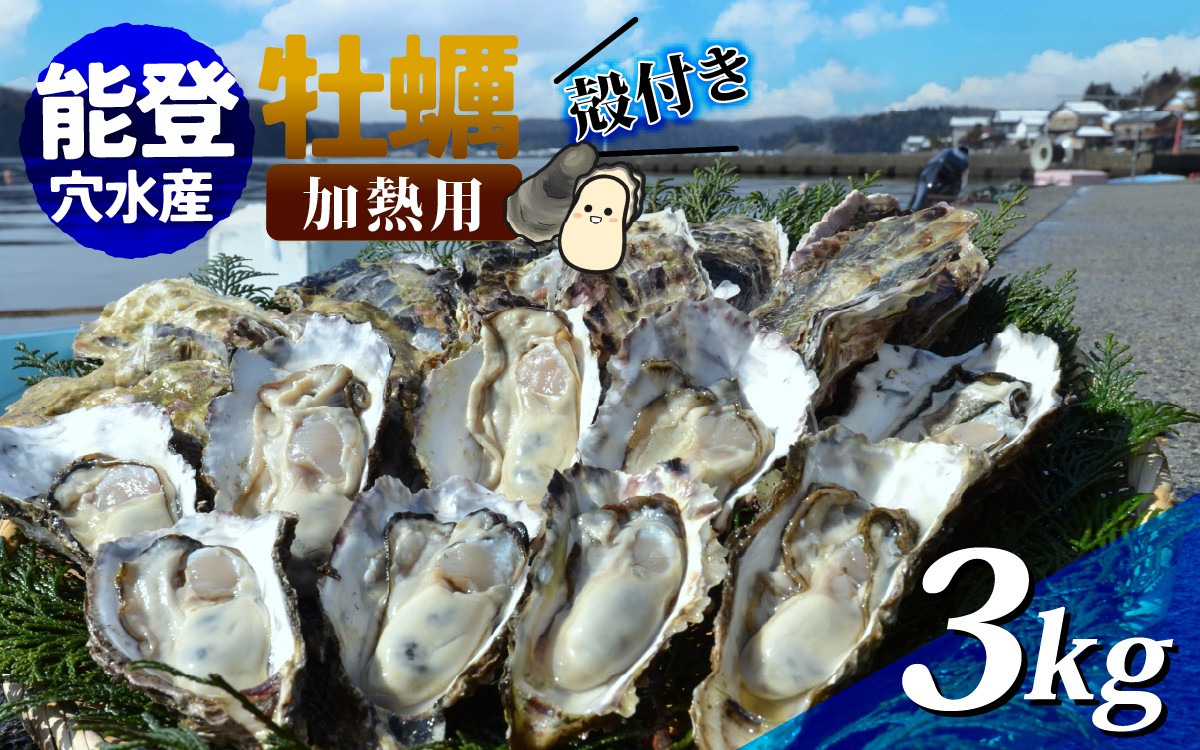 
            【先行予約】鮮度抜群！獲れたてをお届け！ 能登穴水の牡蠣(殻付) 加熱用 3kg【2026年2月以降順次発送】 | 奥能登 能登半島 冷蔵 真牡蠣 3キロ ナイフ付き 肉厚 殻付き 海鮮 魚介類 海産物 バーベキュー BBQ 貝 オイスター
          