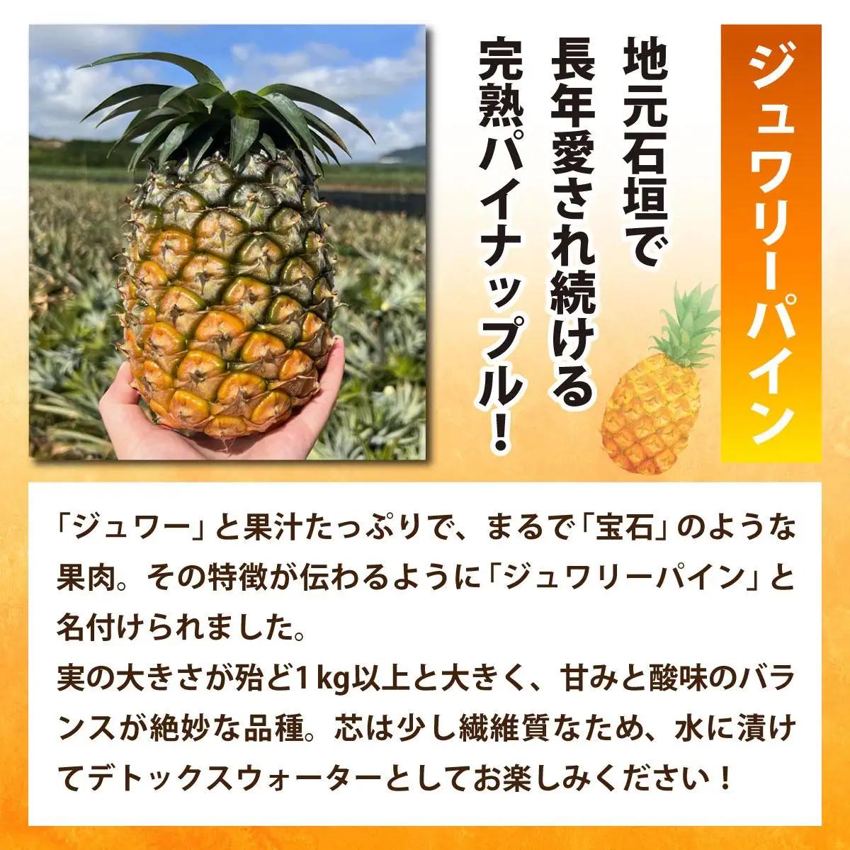 パイナップル 冷凍カットパイン（ジュワリーパイン）100g×6袋 
