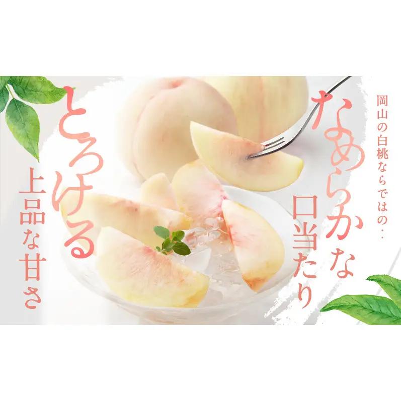 桃 2026年 先行予約 白桃 8玉 合計約2.0kg  岡山県産 桃