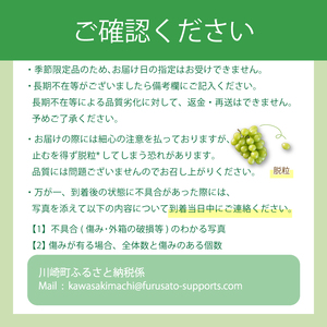  【 8月中旬から順次発送 】種なし 巨峰 ２kg 箱詰め ぶどう ぶどう ぶどう ぶどう ぶどう OHT001