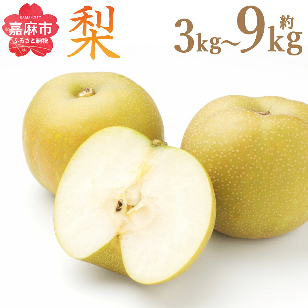 【ふるさと納税】梨 約3kg/約4.5kg/約7kg/約9kg 選べる内容量 幸水 豊水 二十世紀 あきづき 新高 新興 南水 王秋 なし ナシ 果物 くだもの フルーツ 果実 九州産 国産 福岡県産 数量限定 期間限定 送料無料【2025年8月上旬～12月上旬に順次発送予定】