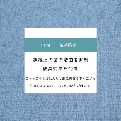 カーペット 日本製 抗菌防臭 軽量薄手 ジェミニ 352×352cm 江戸間 8畳用 ブルー【1518681】