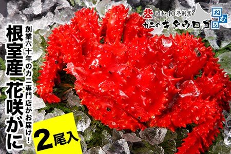 【北海道根室産】花咲がに550g～650g前後×2尾 B-25030