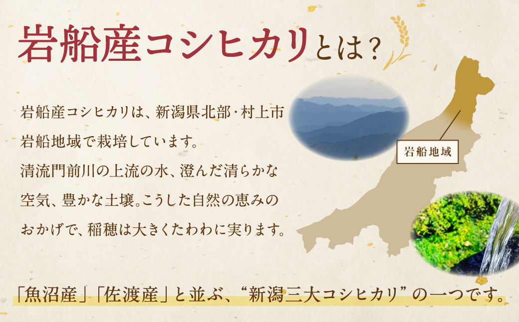 【新米受付・令和8年産米】新潟県村上市　岩船産コシヒカリ6kg（2kg×３袋）　1103001N