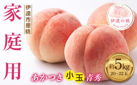 福島の桃 あかつき小玉 青秀 約5kg（20～22玉） 家庭用 伊達市産桃 先行予約 フルーツ 果物 もも モモ momo F20C-585