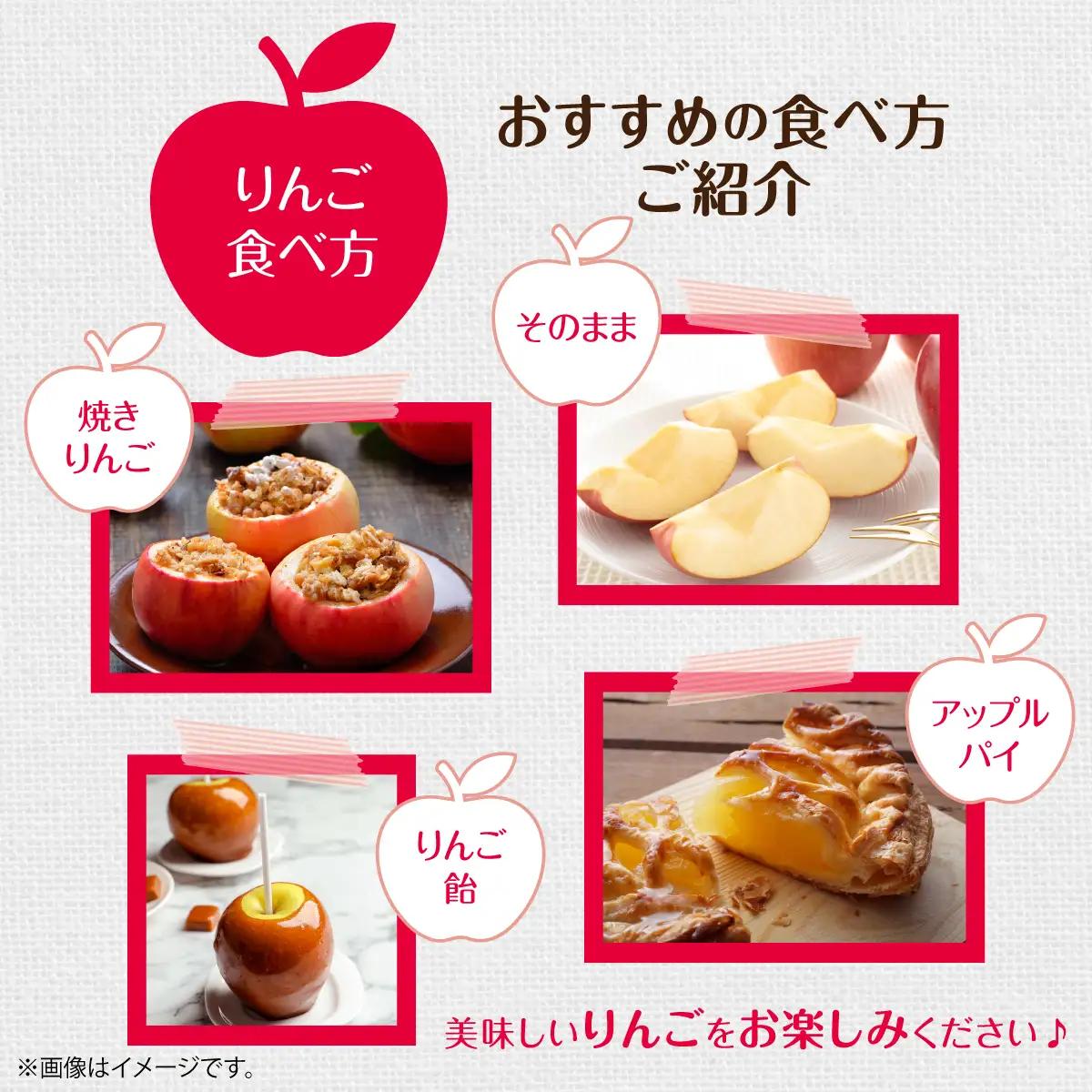 【先行予約】北海道壮瞥町産りんご「サンふじ」約3kg(8～10玉)＜2026年12月上旬にお届け＞ SBTF006