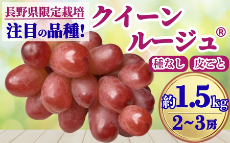 【2026年先行予約】クイーンルージュ®︎ 約1.5kg(2~3房)｜ ぶどう
