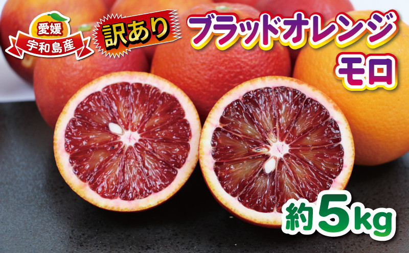 
訳あり ブラッドオレンジ・モロ 5kg 大田農園 先行予約 オレンジ 果物 くだもの フルーツ 柑橘 みかん 訳アリ 訳あり品 訳有り わけあり 愛媛みかん 愛媛ミカン 愛媛蜜柑 愛媛県産 mikan 産地直送 農家直送 数量限定 国産 愛媛 宇和島 B012-121004
