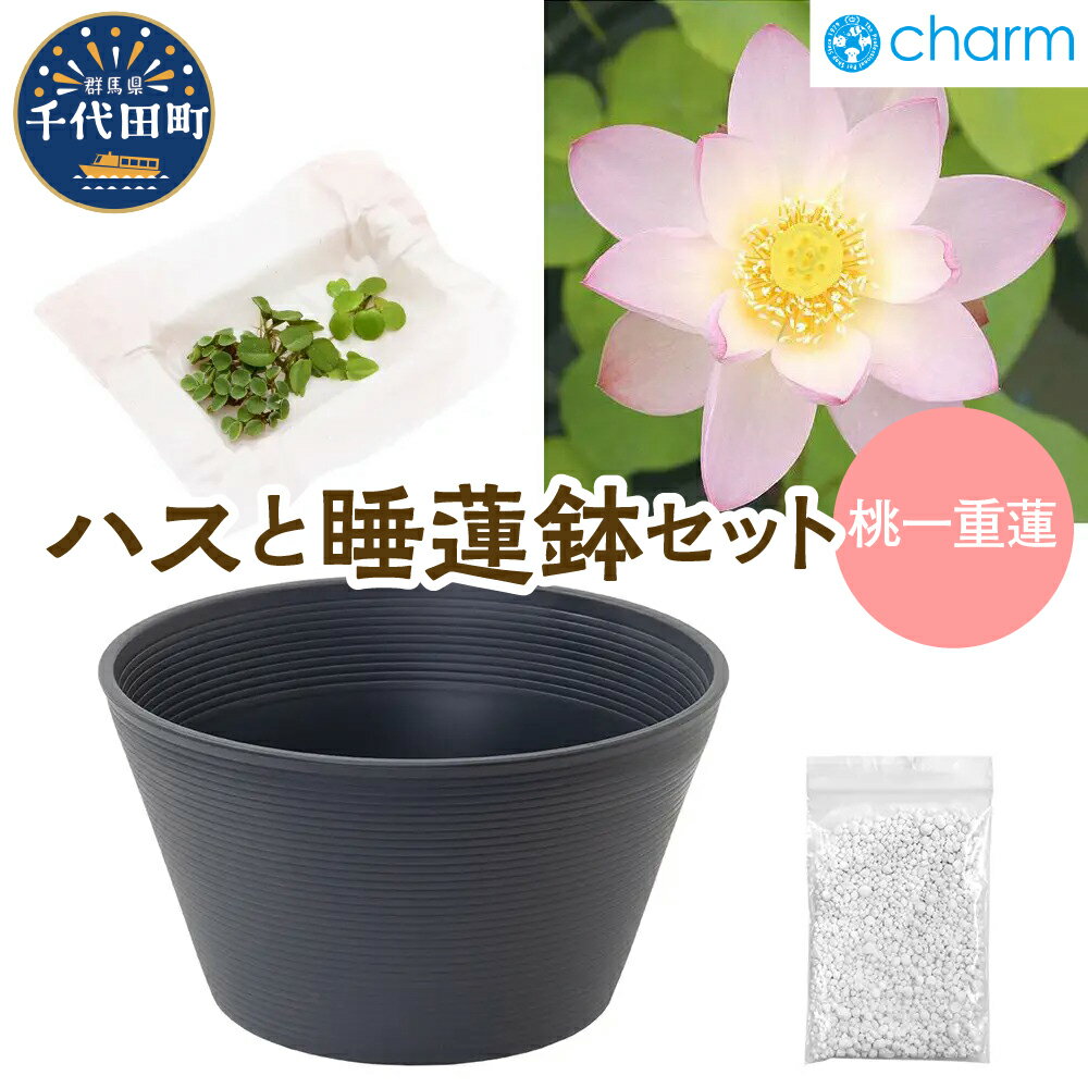 【ふるさと納税】ハスと睡蓮鉢セット 桃一重蓮 ビオトープ インテリア ナチュラル かわいい リラクゼーション 室内栽培 プレゼント ギフト 贈答用 お祝い 送料無料 趣味 家庭 ライフスタイル 人気 オススメ 初心者 玄関リビング キッチン 株式会社チャーム 群馬県 千代田町