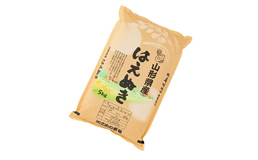 【定期発送】米食味鑑定士厳選 新庄産 はえぬき（精米）5kg【全3回】 米 お米 おこめ 山形県 新庄市 F3S-2947