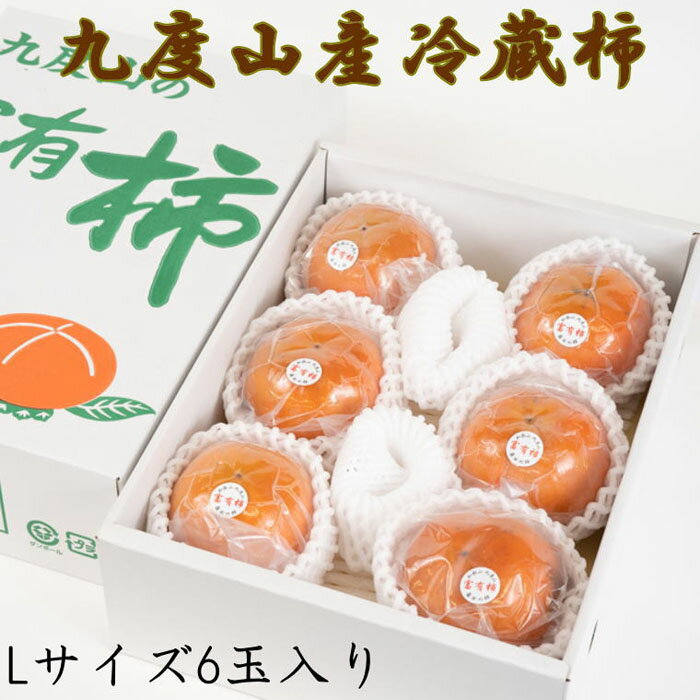 【ふるさと納税】［まごころ栽培］九度山の冷蔵富有柿Lサイズ6玉入り★2026年1月下旬頃より順次発送［TM121］