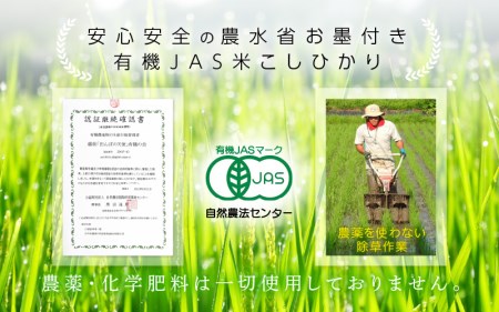 【中日賞受賞】 有機栽培 JAS認証 米 越前コシヒカリ 5kg 【玄米】【 こしひかり 5キロ 田んぼの天使 】 [e10-b006]