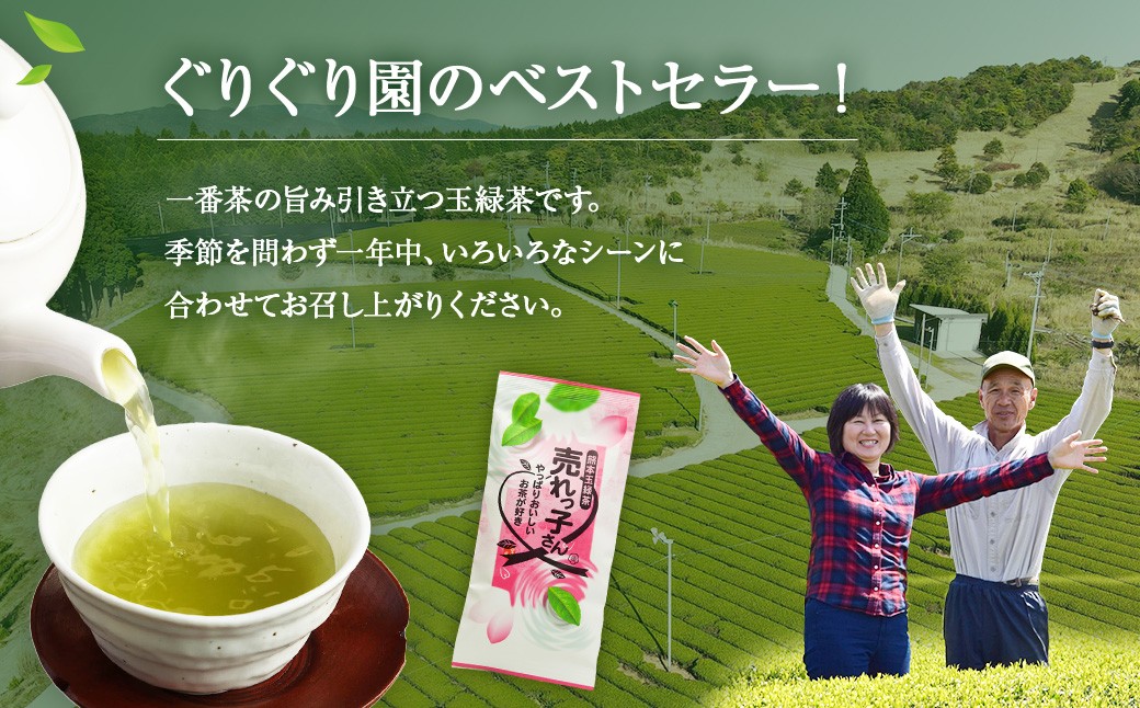熊本 玉緑茶「売れっ子さん」90g×9袋 緑茶 茶葉