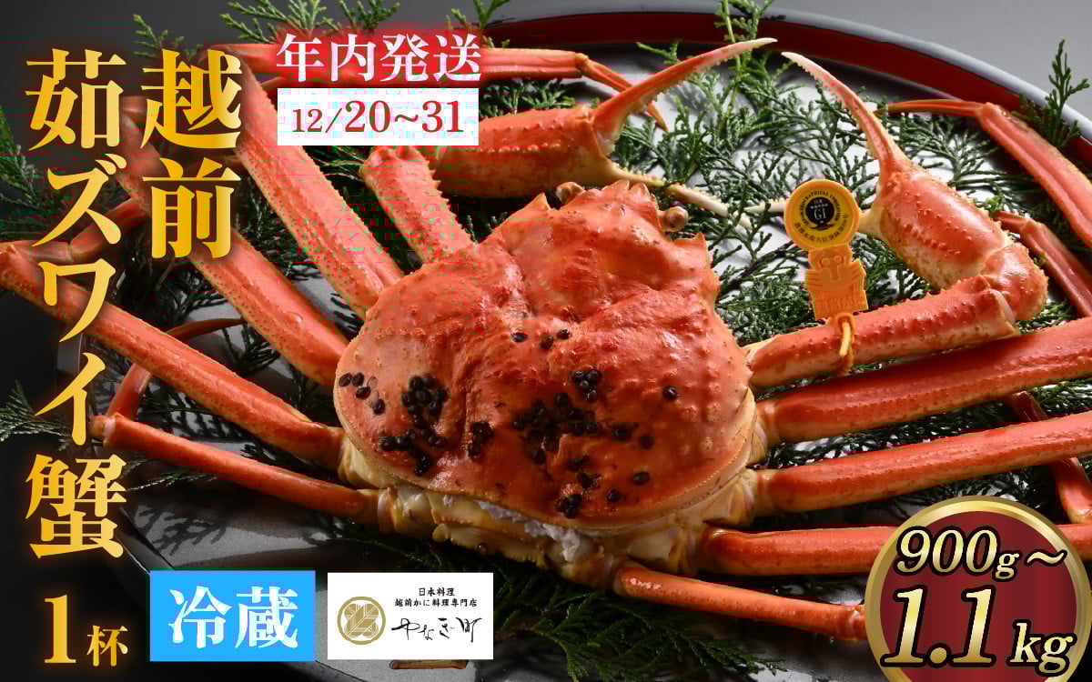 
            【先行予約】[捌き済選択可][到着日指定可]蟹好きにおすすめ！老舗カニ専門店の「越前ずわいがに」大サイズ(900g～1.1kg)＜年内発送＞ [O-085022] / カニ かに かにボイル かにみそ 越前ガニ ズワイガニ ずわい蟹 ズワイガニ 姿 福井 国産 冷蔵 送料無料 越前ガニ ズワイガニ ずわい蟹 ズワイガニ
          