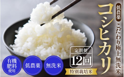 【先行予約】【令和7年産 新米】《定期便》5kg×12回 60kg 特別栽培米 コシヒカリ 無洗米 低農薬 《食味値85点以上！こだわり極上無洗米》 / 福井県 あわら 北陸 米 お米 人気 高品質 鮮度抜群 新米 ※2025年9月下旬より順次発送 [aw032-n001]
