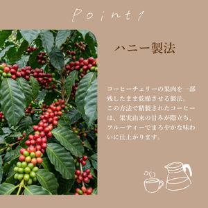 【 自家焙煎 珈琲  】コーヒー ドリップバッグ 5袋