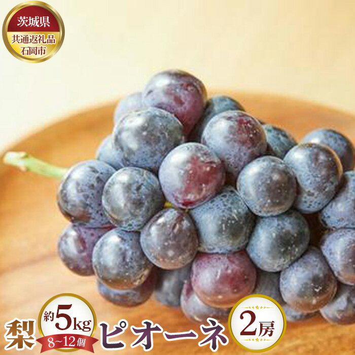 【ふるさと納税】No.648 【先行予約】梨 約5kg（8～12個）とピオーネ2房【茨城県共通返礼品 石岡市】 ／ なし ナシ ぶどう ブドウ 葡萄 フルーツ 果物 セット 詰め合わせ 送料無料 茨城県