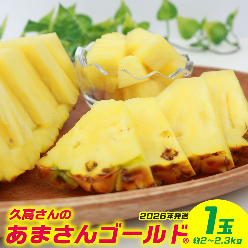 【ふるさと納税】久高さんのあまさんゴールド 1玉（約2～2.3kg） 2026年発送 沖縄県産 東村 パイナップル ジューシー 希少 高級フルーツ 南国フルーツ 国産フルーツ 農家直送 パイン 果物 贈り物 おすすめ お土産 人気 やんばる 大自然 南国気分 沖縄本島北部
