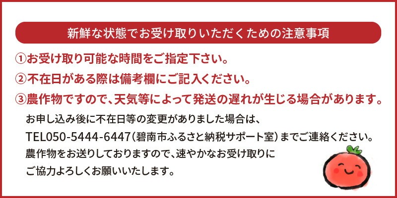 【先行受付】2027年1月～6月毎月発送　プレミアムフルーツトマトの定期便　約700g×6回コース　H004-211