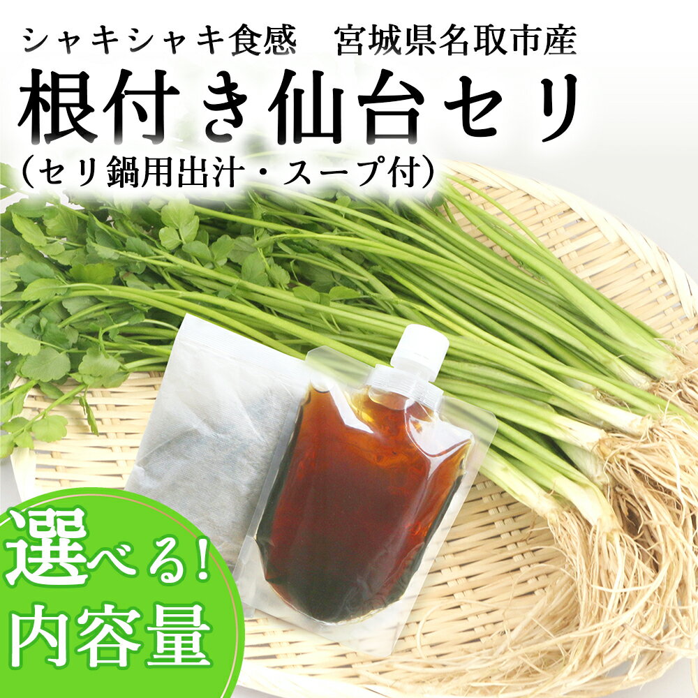 【ふるさと納税】【期間限定】根付き仙台セリ鍋出汁セット（セリ鍋用出汁・スープ付）　選べる内容量（300g〜1000g）2～10人前　せり セリ 野菜 鍋 セリ 仙台セリ セリ鍋 名取市産