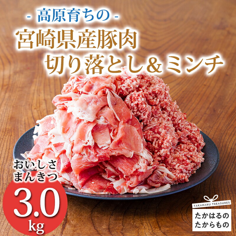【ふるさと納税】《大容量！寄付金10,000円で3kg》国産 豚肉切り落とし＆豚肉ミンチ 豚肉2種詰め合わせセット合計3000g アレンジ色々 お弁当 しゃぶしゃぶ ハンバーグ 肉巻き 宮崎県 高原町 日本産 送料無料 故郷納税 10000円 1万円 一万円