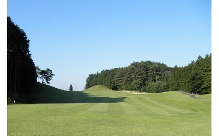 むらさき野カントリークラブ （ゴルフプレー割引券）5枚