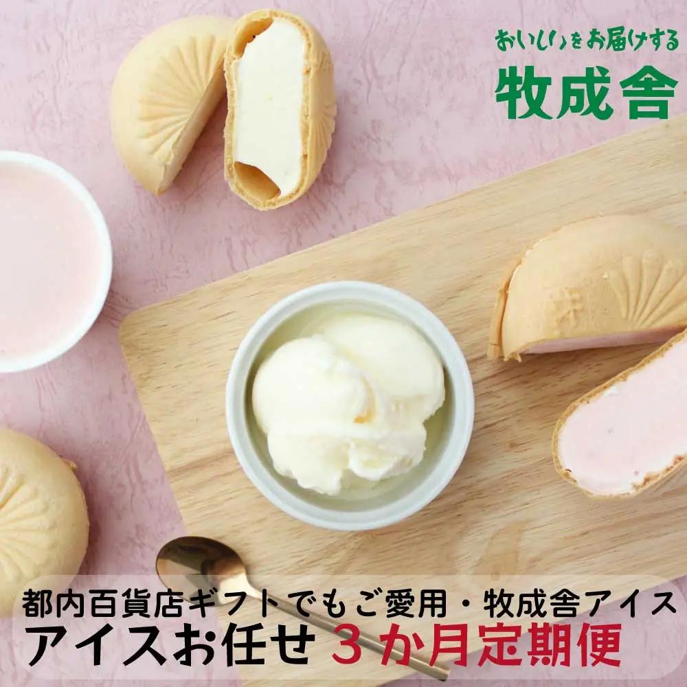 【3ヶ月定期便】飛騨の牛乳屋 牧成舎 お任せアイスクリームセット 定期便 DF112