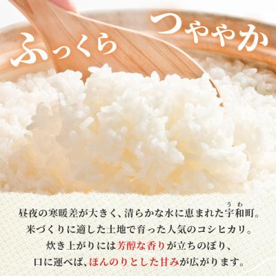 ふるさと納税 西予市 <令和7年産 コシヒカリ 5kg>国産 白米 精米 5キロ 愛媛県産 宇和町産 宇和米 |  | 01