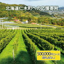 【ふるさと納税】北海道仁木町 寄附のみの応援受付 500,000円コース（返礼品なし 寄附のみ50万円）　仁木町