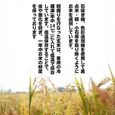 ふるさと納税 南あわじ市 令和7年産新米　淡路島産こしひかり　玄米20kg |  | 03