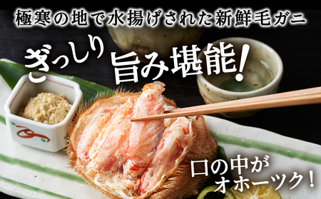 【2025製造】ボイル毛ガニ1尾450g～550g【配送不可地域：離島・沖縄県】