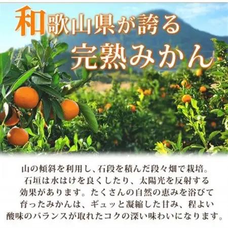 【2026年11月下旬より発送】赤秀品　紀州有田産濃厚完熟温州みかん　3kg(MorS)【日高町】【1217244】