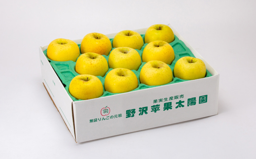 青森県産りんご「シナノゴールド」約5kg(家庭用)【配送不可地域：離島・沖縄県】