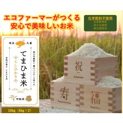 ふるさと納税 久喜市 令和7年産  『てまひま米』　こしひかり　精米10kg(5kg×2)
