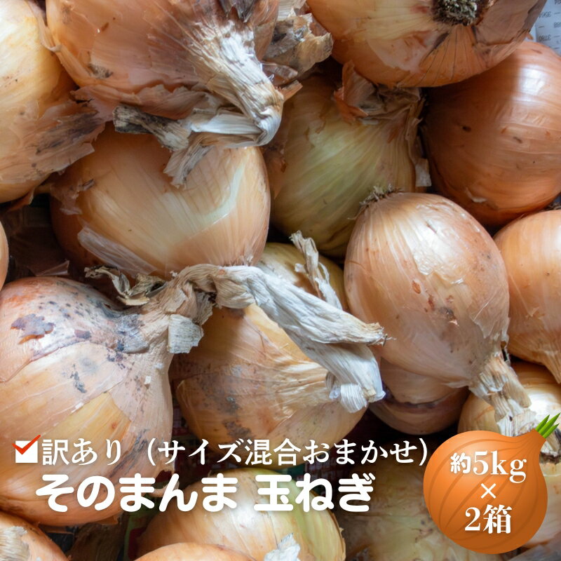 【ふるさと納税】訳あり（サイズ混合おまかせ）そのまんま 玉ねぎ（約5kg×2箱）計約10kg たまねぎ 野菜 　お届け：2025年5月中旬～6月下旬